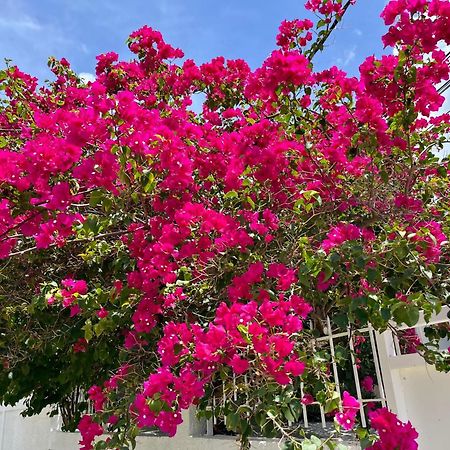 Les Villas Du Bambou - Villa Paprika Jusqu'A 6 Pers Le Gosier  Exteriör bild