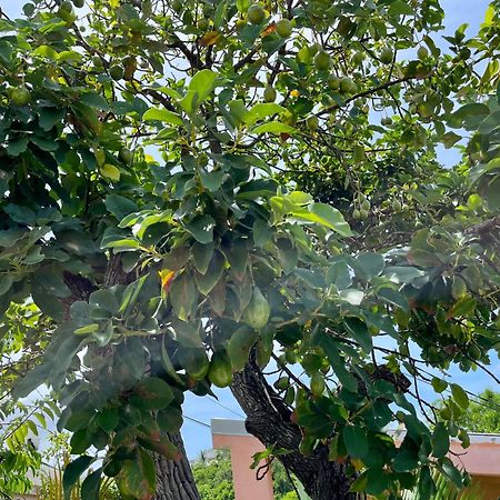 Les Villas Du Bambou - Villa Paprika Jusqu'A 6 Pers Le Gosier  Exteriör bild
