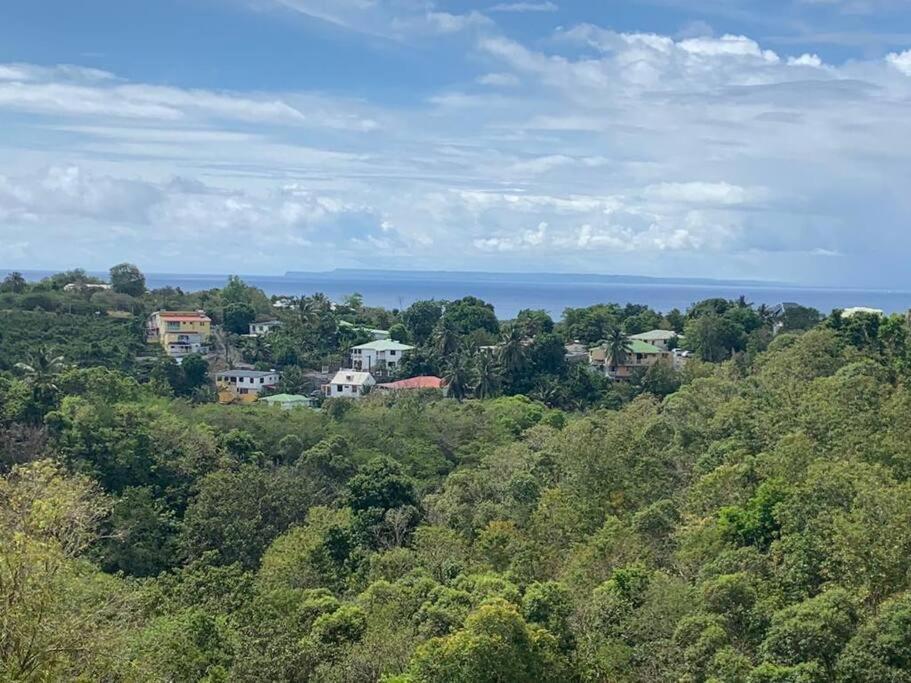 Les Villas Du Bambou - Villa Paprika Jusqu'A 6 Pers Le Gosier  Exteriör bild